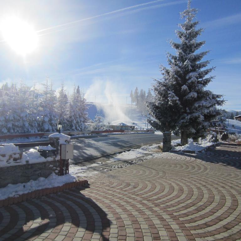 Complex Turistic Casianna & Spa Păltiniş Exteriör bild
